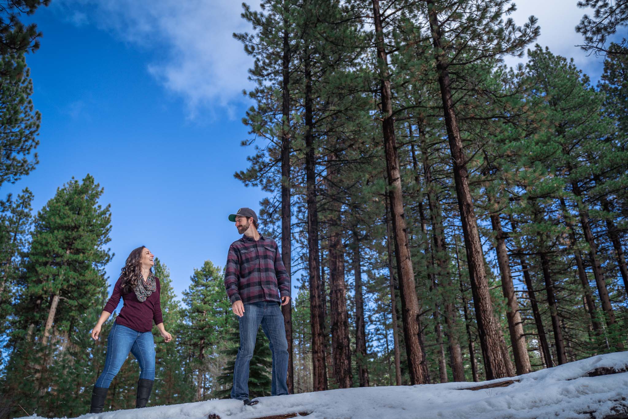 South Lake Tahoe engagement photography session surrounded by pine trees