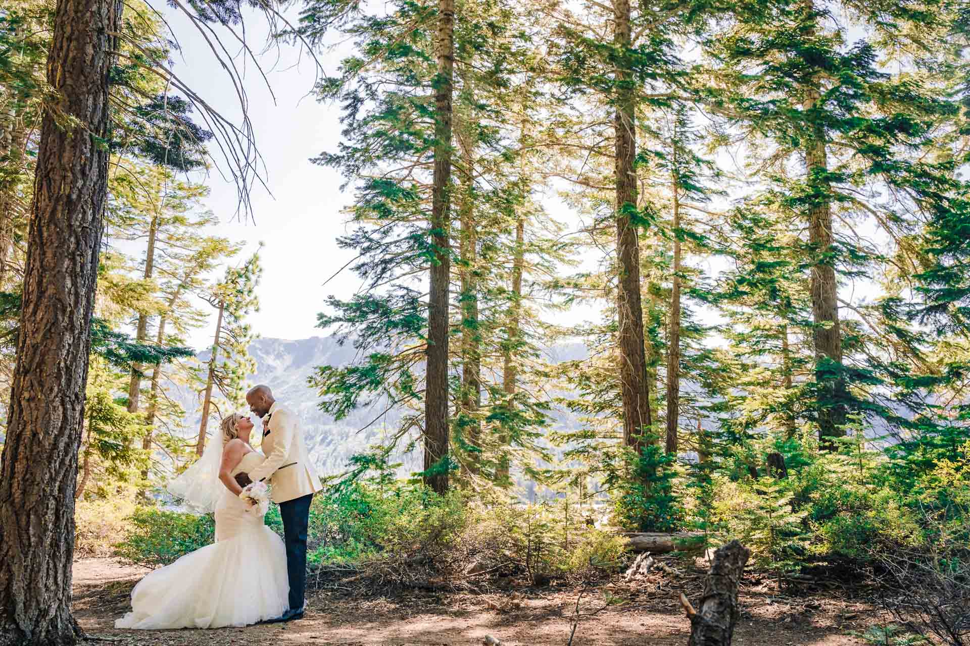 Lake Tahoe wedding photographer for elopements and intimate ceremonies